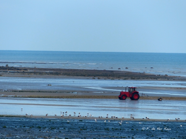 Les laboureurs de la mer